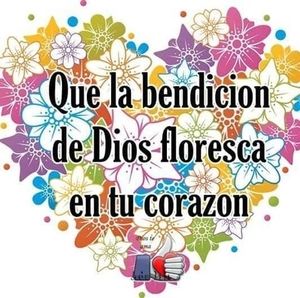 Meet your Posher, Raquel